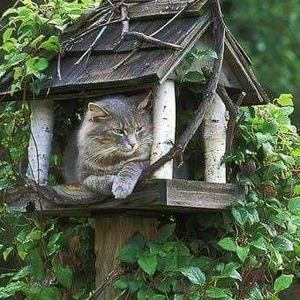 Meet your Posher, Evelyn